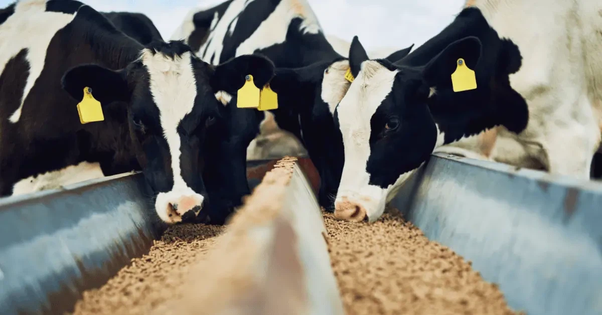 BLOG123101 BLOG123101